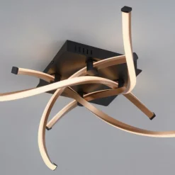 Plafonnier Paul Neuhaus POLINA LED Noir, 1 lumière