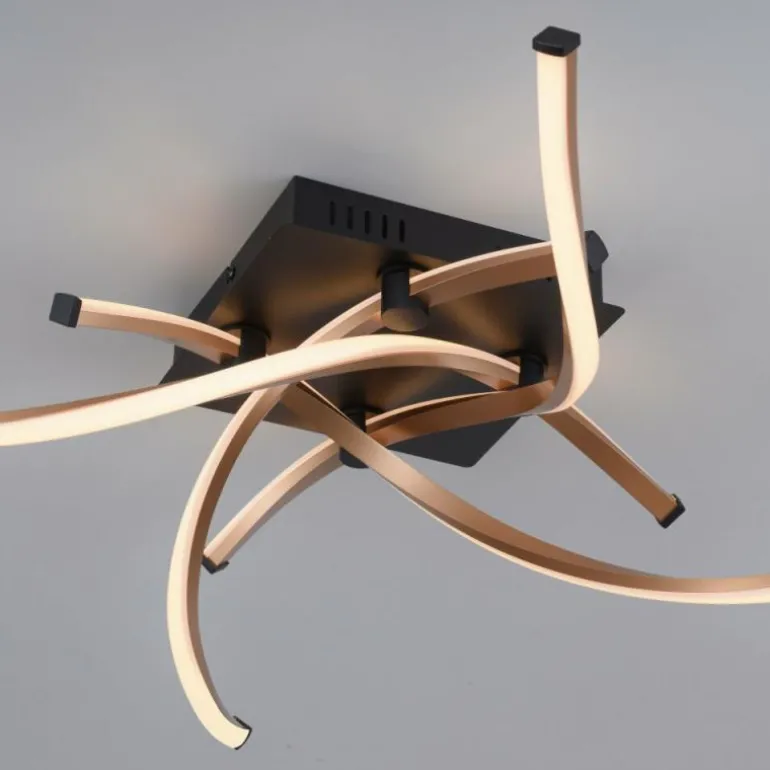 Plafonnier Paul Neuhaus POLINA LED Noir, 1 lumière