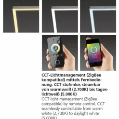 Plafonnier Paul Neuhaus Q-Inigo LED Acier inoxydable, 2 lumières, Télécommandes