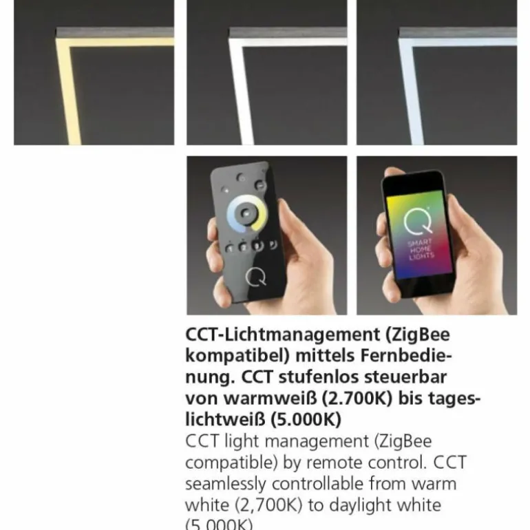 Plafonnier Paul Neuhaus Q-Inigo LED Acier inoxydable, 2 lumières, Télécommandes