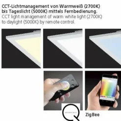 Plafonnier Paul Neuhaus Q-Flag LED Blanc, 1 lumière, Télécommandes