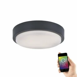 Plafonnier Paul Neuhaus Q-LENNY LED Anthracite, 1 lumière, Télécommandes, Changeur de couleurs