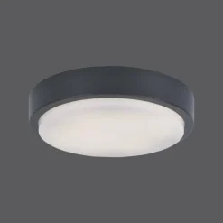 Plafonnier Paul Neuhaus Q-LENNY LED Anthracite, 1 lumière, Télécommandes, Changeur de couleurs