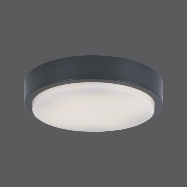 Plafonnier Paul Neuhaus Q-LENNY LED Anthracite, 1 lumière, Télécommandes, Changeur de couleurs