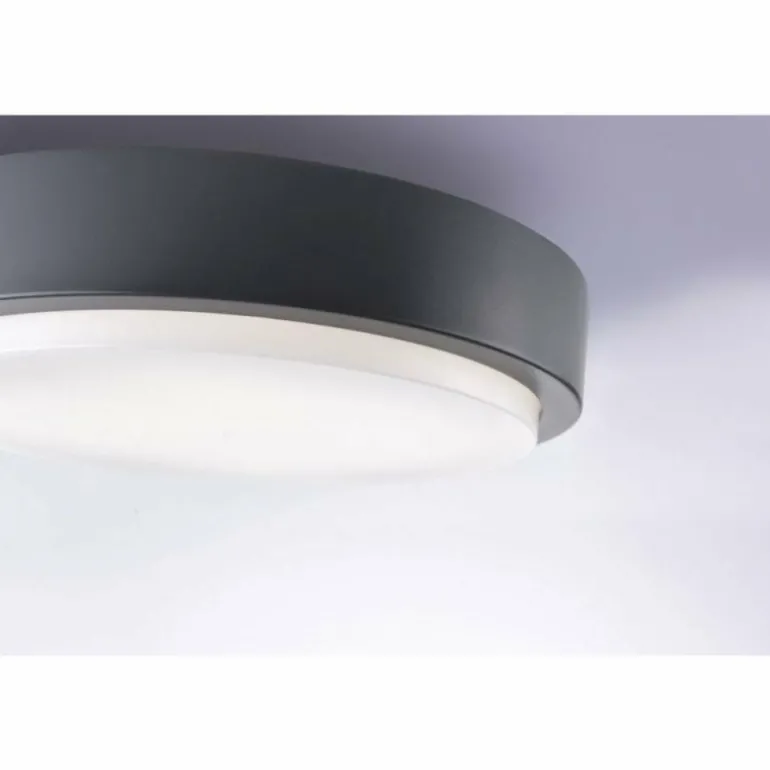 Plafonnier Paul Neuhaus Q-LENNY LED Anthracite, 1 lumière, Télécommandes, Changeur de couleurs