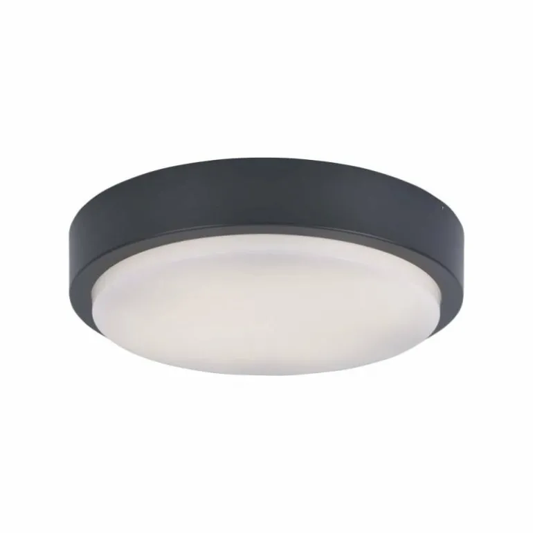 Plafonnier Paul Neuhaus Q-LENNY LED Anthracite, 1 lumière, Télécommandes, Changeur de couleurs