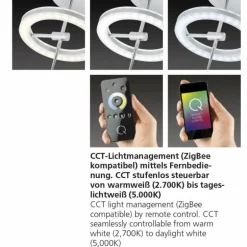 Plafonnier Paul Neuhaus Q-AMY LED Acier inoxydable, 6 lumières, Télécommandes