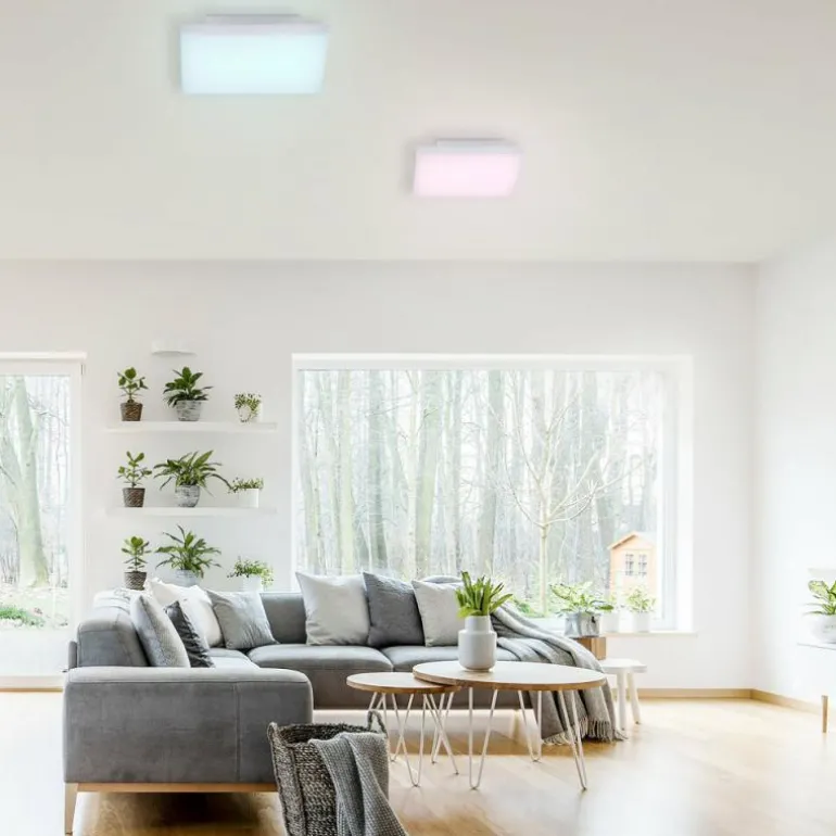 Plafonnier Paul Neuhaus Q-FLAG LED Blanc, 1 lumière, Télécommandes, Changeur de couleurs