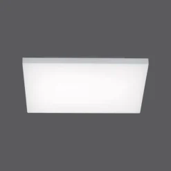 Plafonnier Paul Neuhaus Q-FLAG LED Blanc, 1 lumière, Télécommandes, Changeur de couleurs