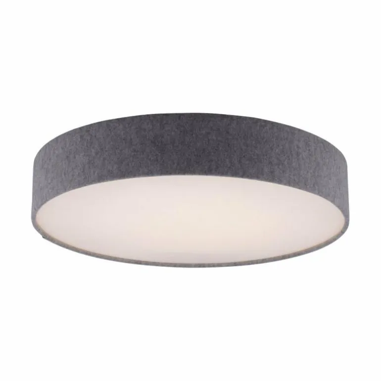 Plafonnier Paul Neuhaus Q-KIARA LED Gris, 1 lumière, Télécommandes