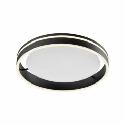 Plafonnier Paul Neuhaus Q-VITO LED Anthracite, 1 lumière, Télécommandes