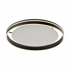 Plafonnier Paul Neuhaus Q-VITO LED Anthracite, 1 lumière, Télécommandes