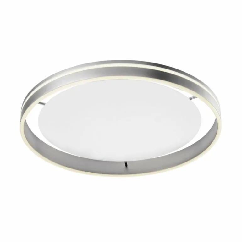 Plafonnier Paul Neuhaus Q-VITO LED Acier inoxydable, 1 lumière, Télécommandes