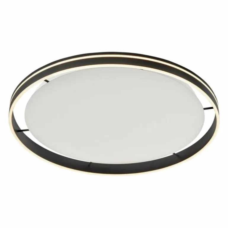 Plafonnier Paul Neuhaus Q-VITO LED Anthracite, 1 lumière, Télécommandes