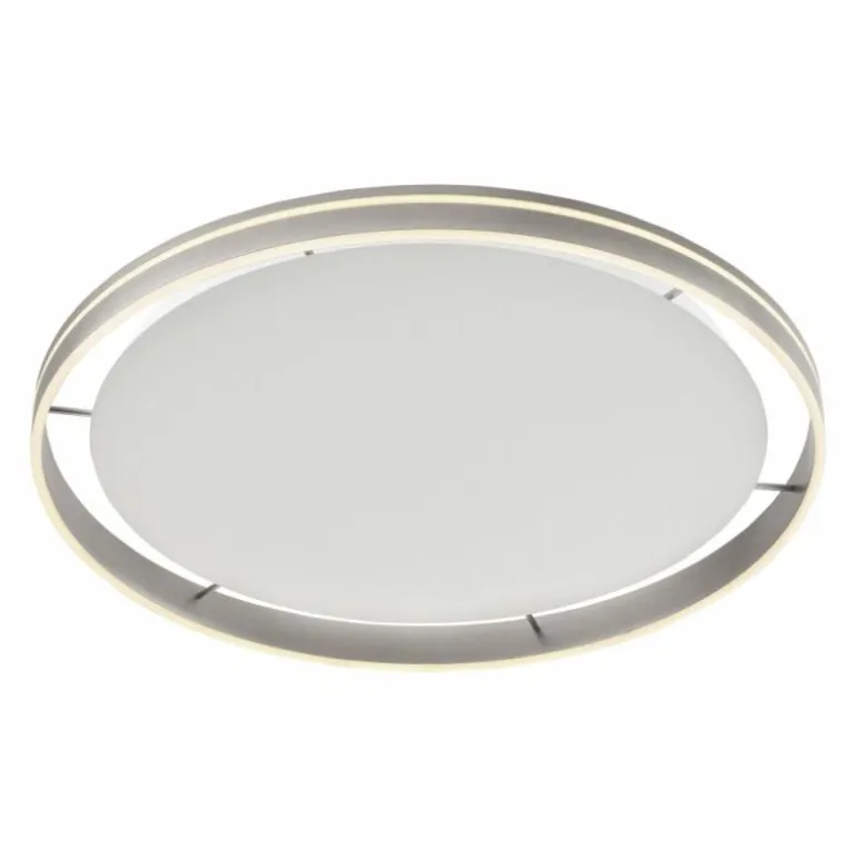 Plafonnier Paul Neuhaus Q-VITO LED Acier inoxydable, 1 lumière, Télécommandes