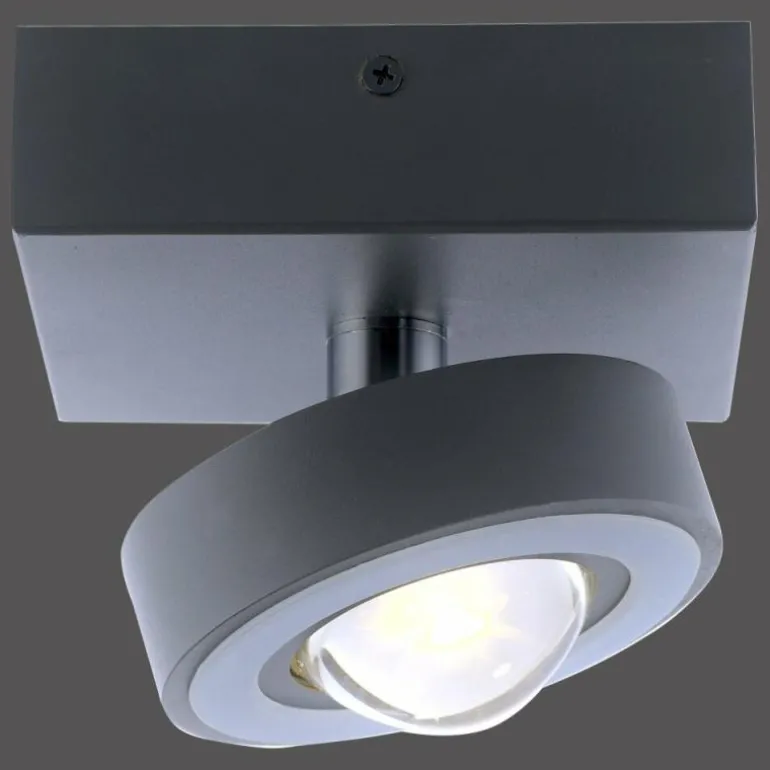 Plafonnier Paul Neuhaus Q-MIA LED Anthracite, 1 lumière, Télécommandes