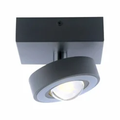 Plafonnier Paul Neuhaus Q-MIA LED Anthracite, 1 lumière, Télécommandes