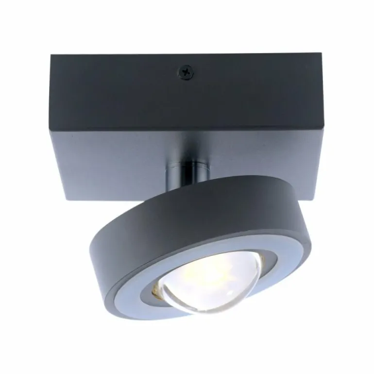 Plafonnier Paul Neuhaus Q-MIA LED Anthracite, 1 lumière, Télécommandes