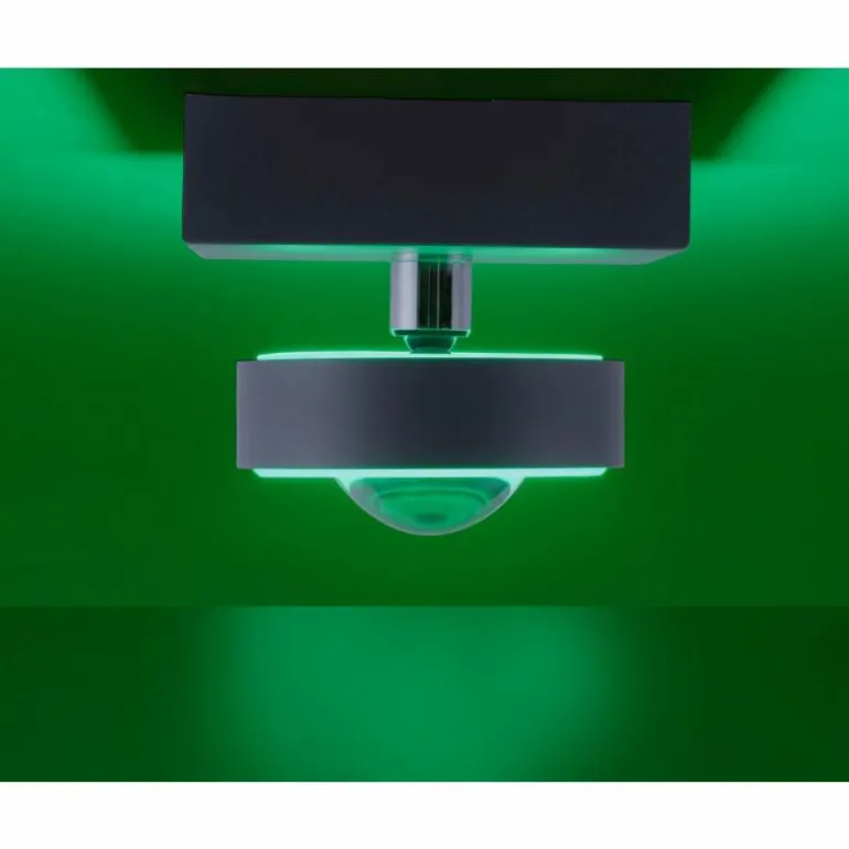 Plafonnier Paul Neuhaus Q-MIA LED Anthracite, 1 lumière, Télécommandes