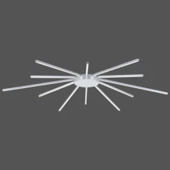 Plafonnier Paul Neuhaus Q-SUNSHINE LED Aluminium, 12 lumières, Télécommandes