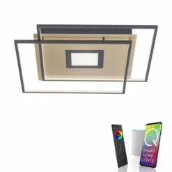 Plafonnier Paul Neuhaus Q-AMIRA LED Noir, 1 lumière, Télécommandes