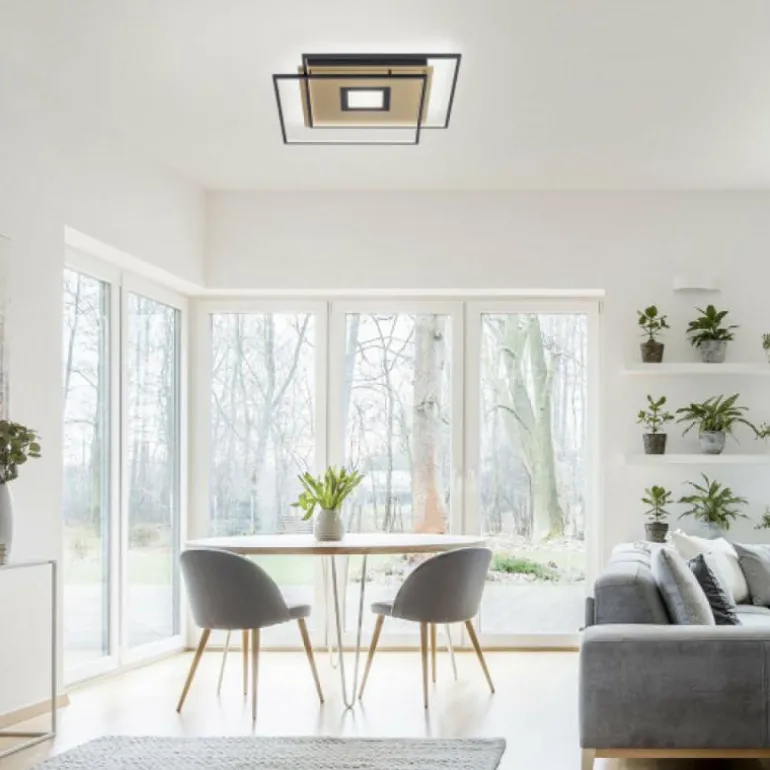 Plafonnier Paul Neuhaus Q-AMIRA LED Noir, 1 lumière, Télécommandes