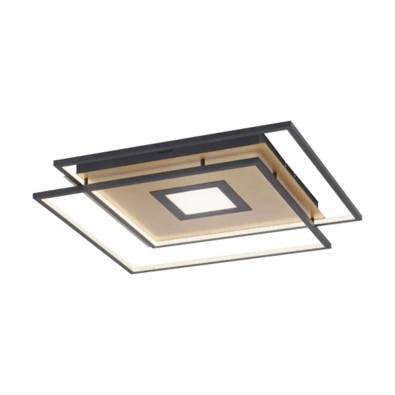 Plafonnier Paul Neuhaus Q-AMIRA LED Noir, 1 lumière, Télécommandes