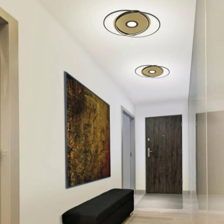 Plafonnier Paul Neuhaus Q-AMIRA LED Noir, 1 lumière, Télécommandes