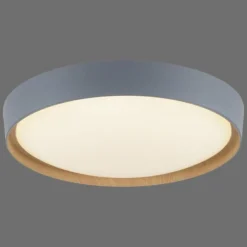 Plafonnier Paul Neuhaus Q-EMILIA LED Gris, Couleur bois, 1 lumière, Télécommandes