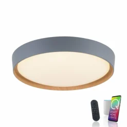 Plafonnier Paul Neuhaus Q-EMILIA LED Gris, Couleur bois, 1 lumière, Télécommandes