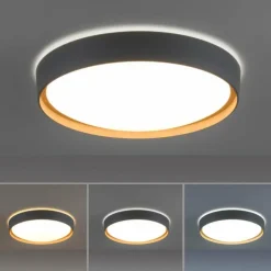 Plafonnier Paul Neuhaus Q-EMILIA LED Gris, Couleur bois, 1 lumière, Télécommandes