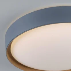 Plafonnier Paul Neuhaus Q-EMILIA LED Gris, Couleur bois, 1 lumière, Télécommandes