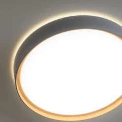 Plafonnier Paul Neuhaus Q-EMILIA LED Gris, Couleur bois, 1 lumière, Télécommandes