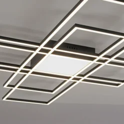 Plafonnier Paul Neuhaus Q-ASMIN LED Noir, 2 lumières, Télécommandes