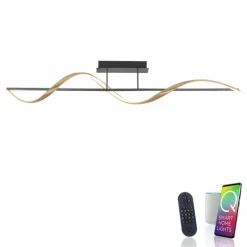 Plafonnier Paul Neuhaus Q-SWING LED Anthracite, Or, 1 lumière, Télécommandes