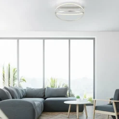 Plafonnier Paul Neuhaus Q-BELUGA LED Argenté, 1 lumière, Télécommandes