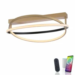 Plafonnier Paul Neuhaus Q-BELUGA LED Or, 1 lumière, Télécommandes