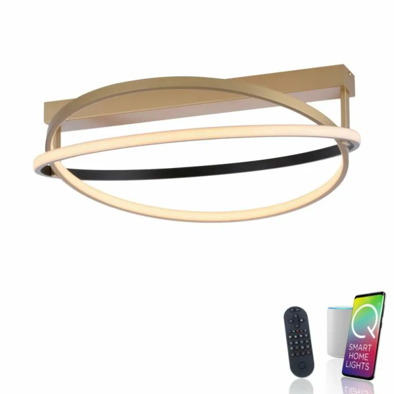 Plafonnier Paul Neuhaus Q-BELUGA LED Or, 1 lumière, Télécommandes