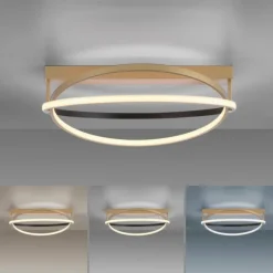 Plafonnier Paul Neuhaus Q-BELUGA LED Or, 1 lumière, Télécommandes