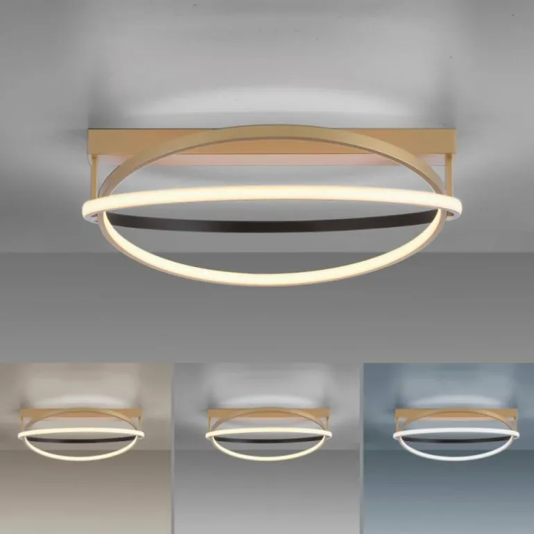 Plafonnier Paul Neuhaus Q-BELUGA LED Or, 1 lumière, Télécommandes