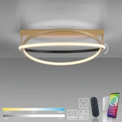 Plafonnier Paul Neuhaus Q-BELUGA LED Or, 1 lumière, Télécommandes