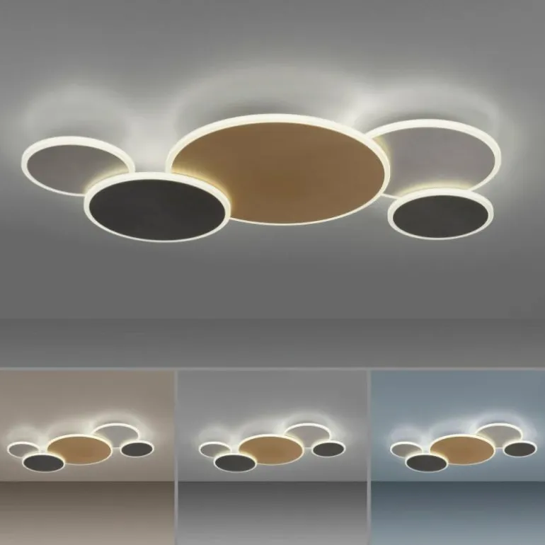 Plafonnier Paul Neuhaus Q-PIATO LED Blanc, 1 lumière, Télécommandes