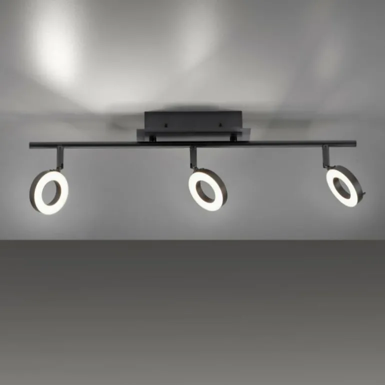 Plafonnier Paul Neuhaus SILEDA Anthracite, 3 lumières