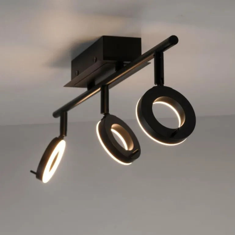 Plafonnier Paul Neuhaus SILEDA Anthracite, 3 lumières