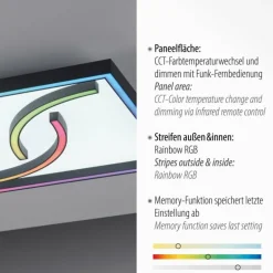 Plafonnier Paul Neuhaus SERPENT LED Noir, 1 lumière, Télécommandes, Changeur de couleurs