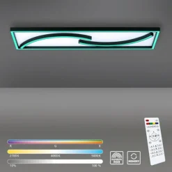 Plafonnier Paul Neuhaus SERPENT LED Noir, 1 lumière, Télécommandes, Changeur de couleurs