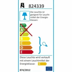 Plafonnier Paul Neuhaus WOMBLE Acier inoxydable, 6 lumières