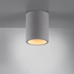 Plafonnier Paul-Neuhaus ETON Gris, Noir, 1 lumière