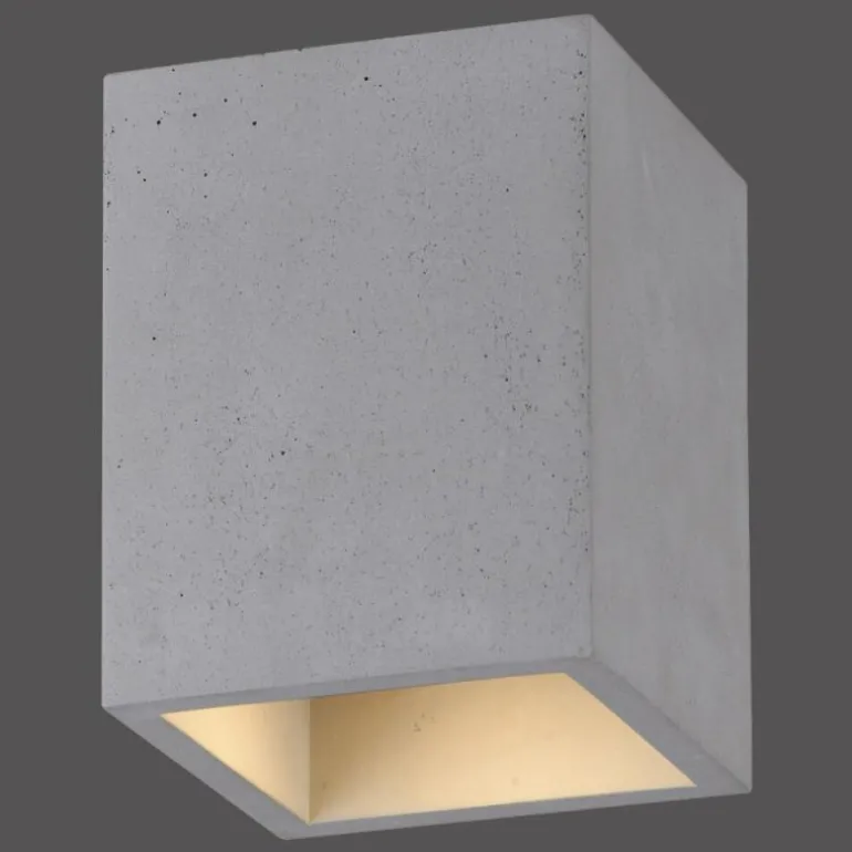 Plafonnier Paul-Neuhaus ETON Gris, Noir, 1 lumière