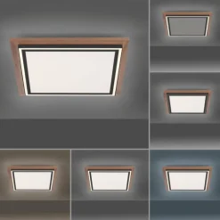 Plafonnier Paul-Neuhaus PALMA LED Écru, Noir, 2 lumières, Télécommandes